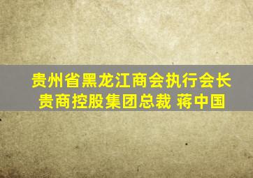 贵州省黑龙江商会执行会长 贵商控股集团总裁 蒋中国